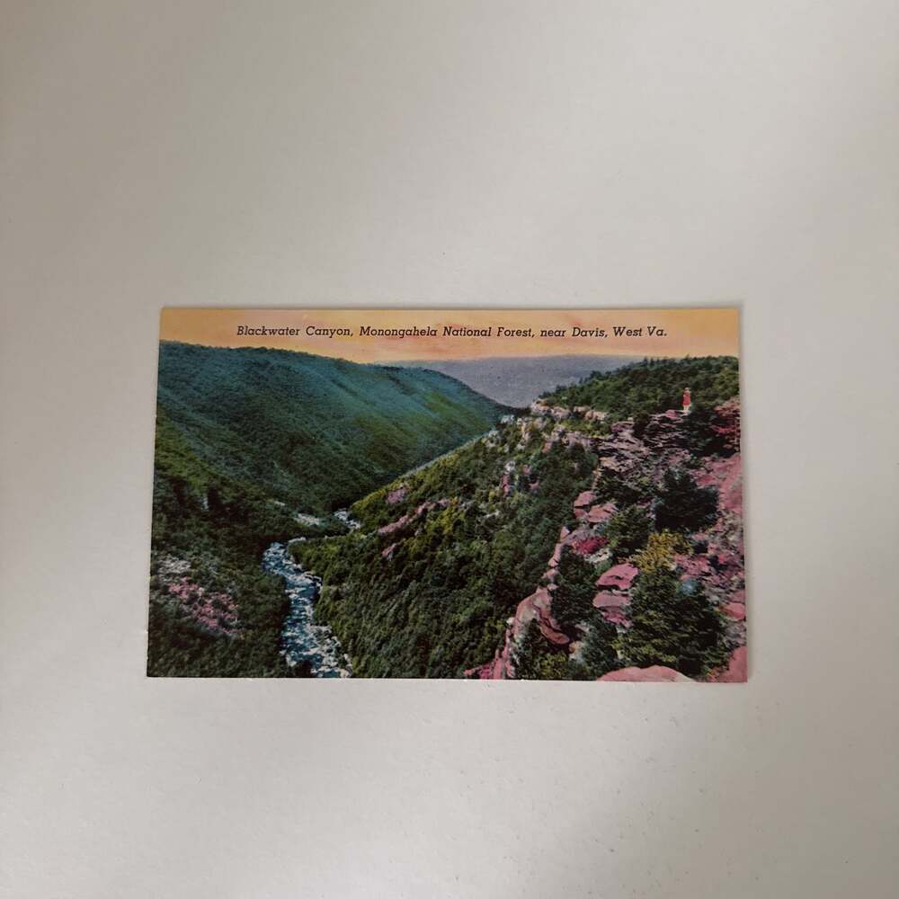 Vintage Postcard Blackwater Canyon Monongahela National Forest West Virginia